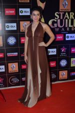 Anindita Nayar at Producers Guild Awards 2015 in Mumbai on 11th Jan 2015